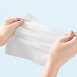 Antibacterial Wipes - Panodyne